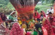 पति की लम्बी आयु के लिए सुहागिनो ने किया वट सावित्री पुजा