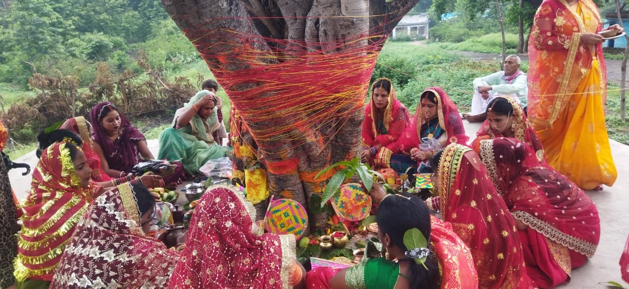 पति की लम्बी आयु के लिए सुहागिनो ने किया वट सावित्री पुजा