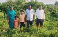 गोला में बेमौसम बारिश ने किसानों पर बरपाया कहर,फसलों को पहुंचा भारी नुक्सान