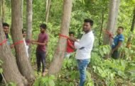 प्रकृति हमारा जीवन है, प्रकृति के बिना जीवन की कल्पना अधूरी: सुधीर मंगलेश