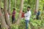 चितरपुर कॉलेज में विश्व पर्यावरण दिवस मनाया गया