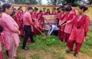 महर्षि परमहंस कॉलेज में विश्व पर्यावरण दिवस पर पौधारोपण किया गया