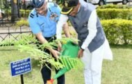 विश्व पर्यावरण दिवस के अवसर पर केंद्रीय रक्षा राज्य मंत्री ने हैदराबाद के बेगमपेट एयर बेस पर वृक्षारोपण किया