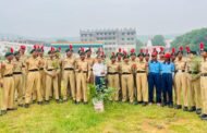 राधा गोविंद विश्वविद्यालय एनसीसी कैडेट्स ने गड़के गांव में किया वृक्षारोपण