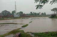 बिजली के आपूर्ति ठप होने व लगातार बारिश से लोग कर रहे हैं त्राहिमाम