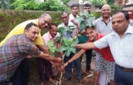 धंधार तालाव विकास समिति द्वारा वन महोत्सव के उपलक्ष में किया गया वृक्षारोपण