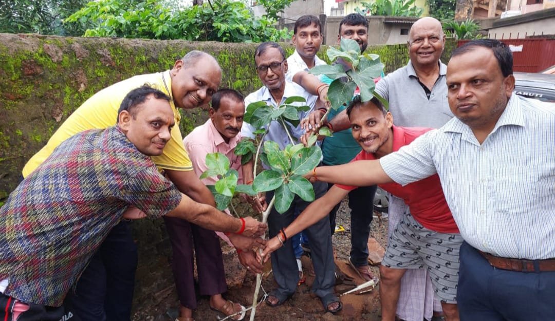 धंधार तालाव विकास समिति द्वारा वन महोत्सव के उपलक्ष में किया गया वृक्षारोपण
