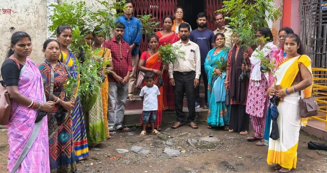 आचार्या अभ्यास वर्ग में कड़ी पत्ता के पौधा किए वितरण