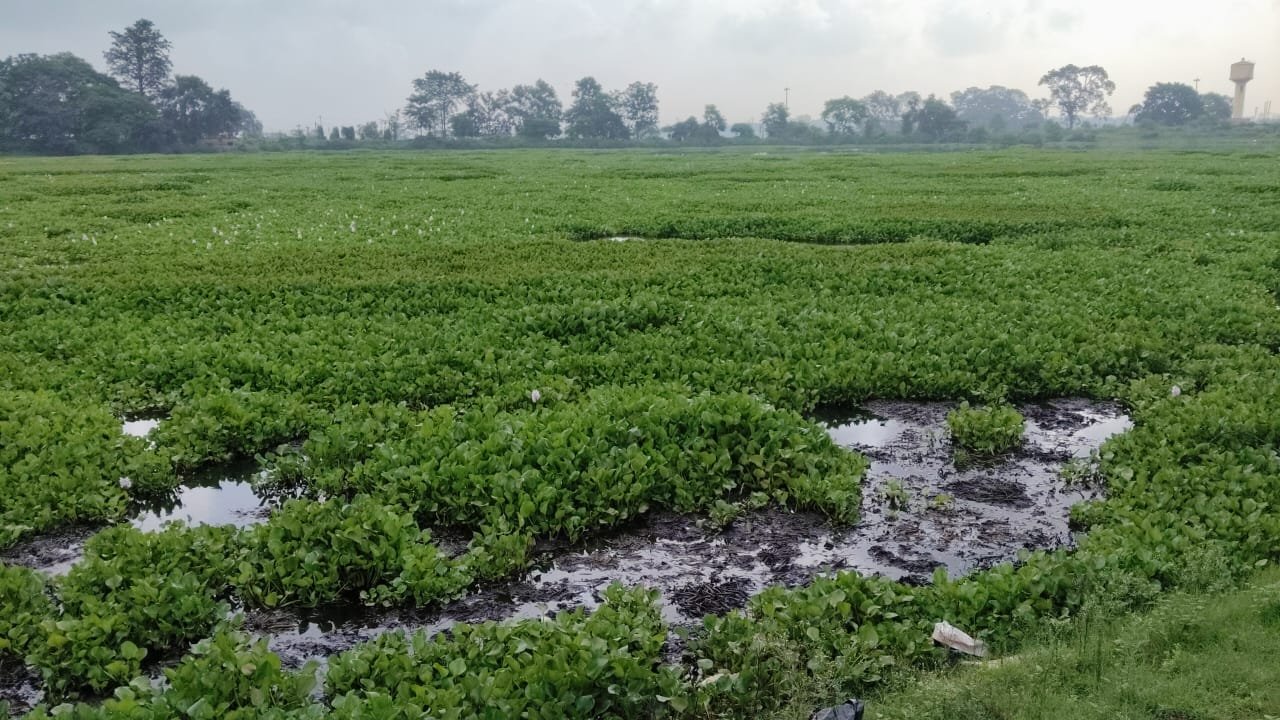 रेलवे जोड़ा तालाब में पानी भरे होने के बाद भी रेलकर्मियों की आवास में नहीं पहुंच पा रहा है पानी