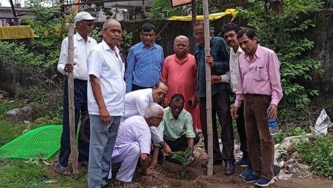 झारखंड पेंशनर्स कल्याण समाज रामगढ़ ने वृक्षारोपण किया
