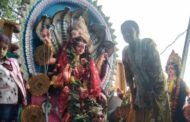 श्रद्धालुओं ने नम आंखों से मां मनसा की प्रतिमा का किया विसर्जन