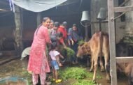 हर महीने करेंगे गाय की सेवा, इससे बड़ा पुण्य न दूजा