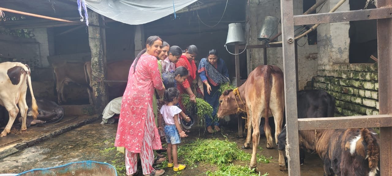 हर महीने करेंगे गाय की सेवा, इससे बड़ा पुण्य न दूजा
