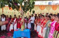 जेएम कालेज में करमा समारोह का आयोजन किया गया