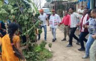 औद्योगिक क्षेत्र पतरातू के गांवों में धूमधाम से मनाया गया करमा पर्व