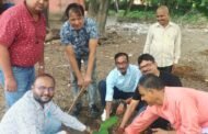 रोटरी रामगढ़ सिटी ने बाजार समिति में वृक्षारोपण किया