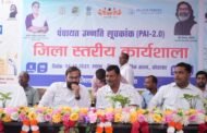 पंचायत उन्नति सूचकांक पर जिला स्तरीय कार्यशाला आयोजित