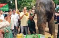 दलमा की पालतू हथिनी रजनी का 16वां जन्मदिन मनाया गया