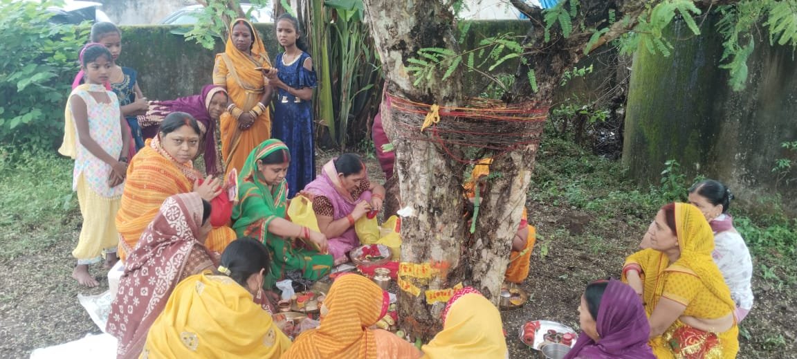 भुरकुंडा में अक्षय नवमी के अवसर पर आँवला वृक्ष की पुजा कि गई