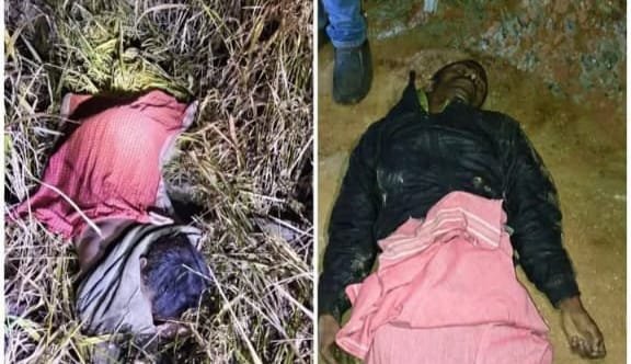 बोकारो : जिला के जगेश्वर ओपी क्षेत्र में हाथियों ने दो युवको को कुचलकर मार डाला