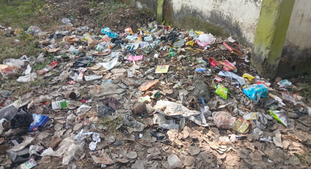 सीसीएल कॉलोनी के चारों ओर फैला है गंदगी का अंबार