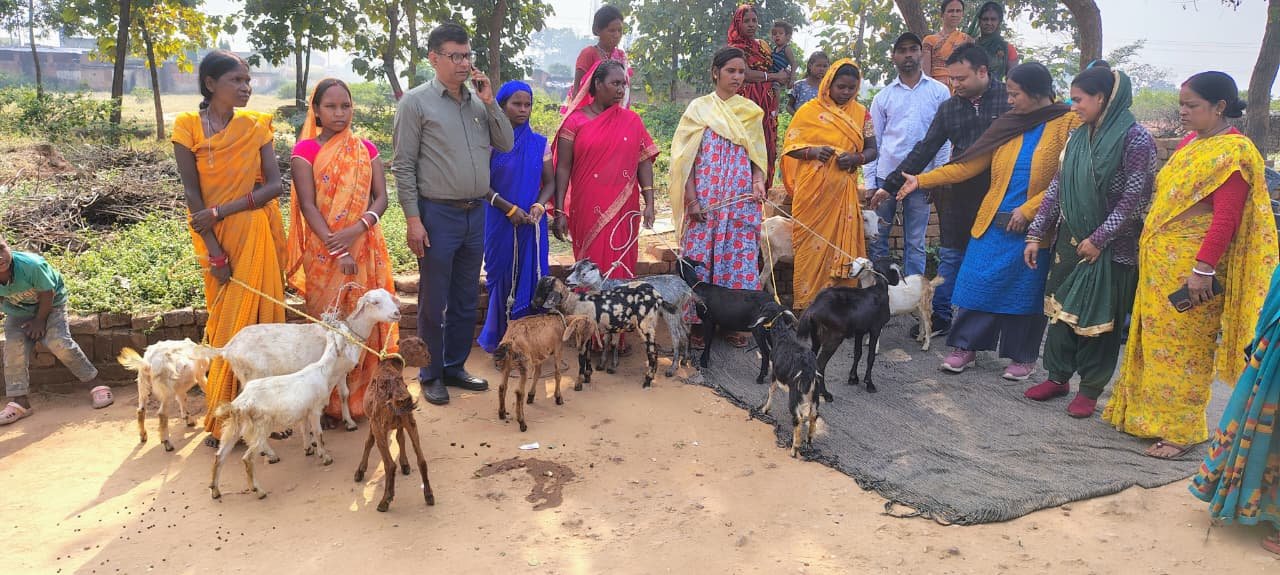 झारखंड स्टेट लाइवलीहुड प्रमोशन सोसाइटी पलाश द्वारा मुरपा गांव में बिरहोर समुदाय की छह महिलाओं को आजीविका हेतु बकरियों का वितरण