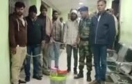 पलामू में सांप के जहर का इंटरनेशनल रैकेट पकड़ाया