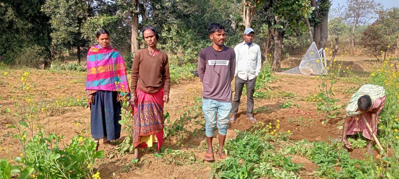 जंगली हाथियों के झुंड ने मचाया उत्पात: किसानों के खेतों में लगे फसलों को किया चौपट