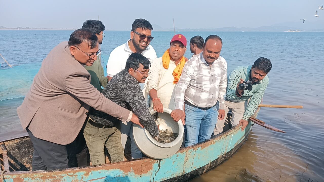 मत्स्य विभाग की ओर से पतरातू डैम में लाखों मछली के बीज का किया गया संचयन