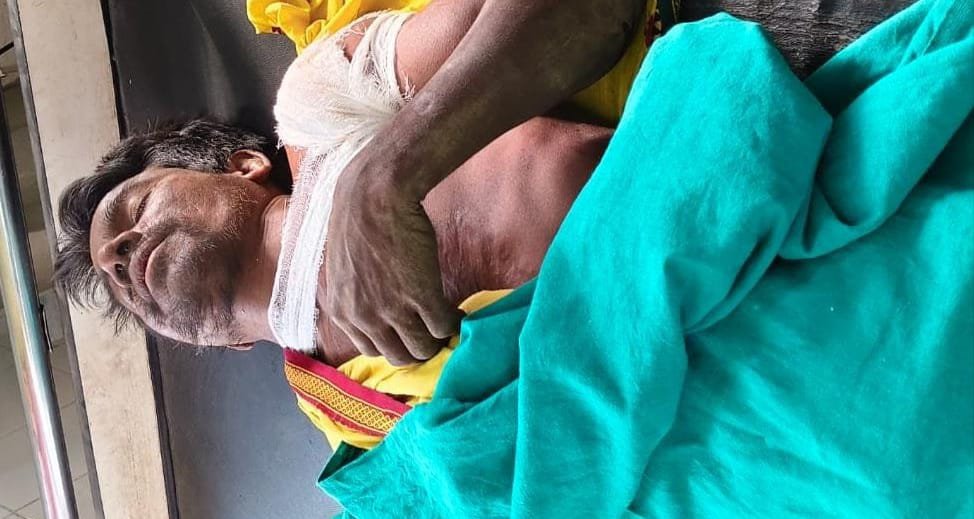 जंगली हाथी का आतंक: गोला में एक व्यक्ति पर हमला कर गंभीर रूप से किया घायल, रेफर