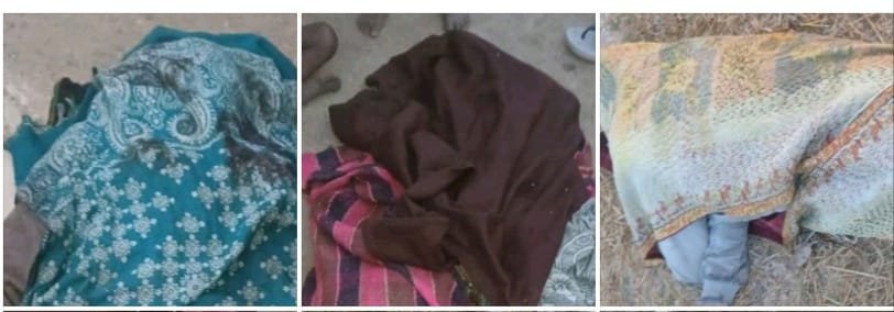 हजारीबाग के चुरचू प्रखंड में जंगली हाथियों के झुंड ने 6 लोगों की जान ली