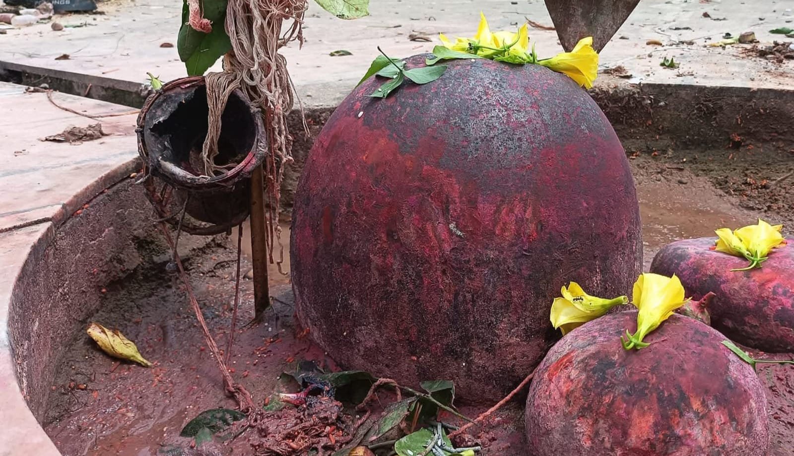 आस्था, परंपरा और चमत्कार का संगम: बूढ़ा छत्तर धाम में महाशिवरात्रि पर उमड़ता है जनसैलाब