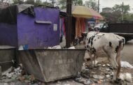 भाजपा नेता की पहल पर मेन रोड में चला स्वच्छता अभियान