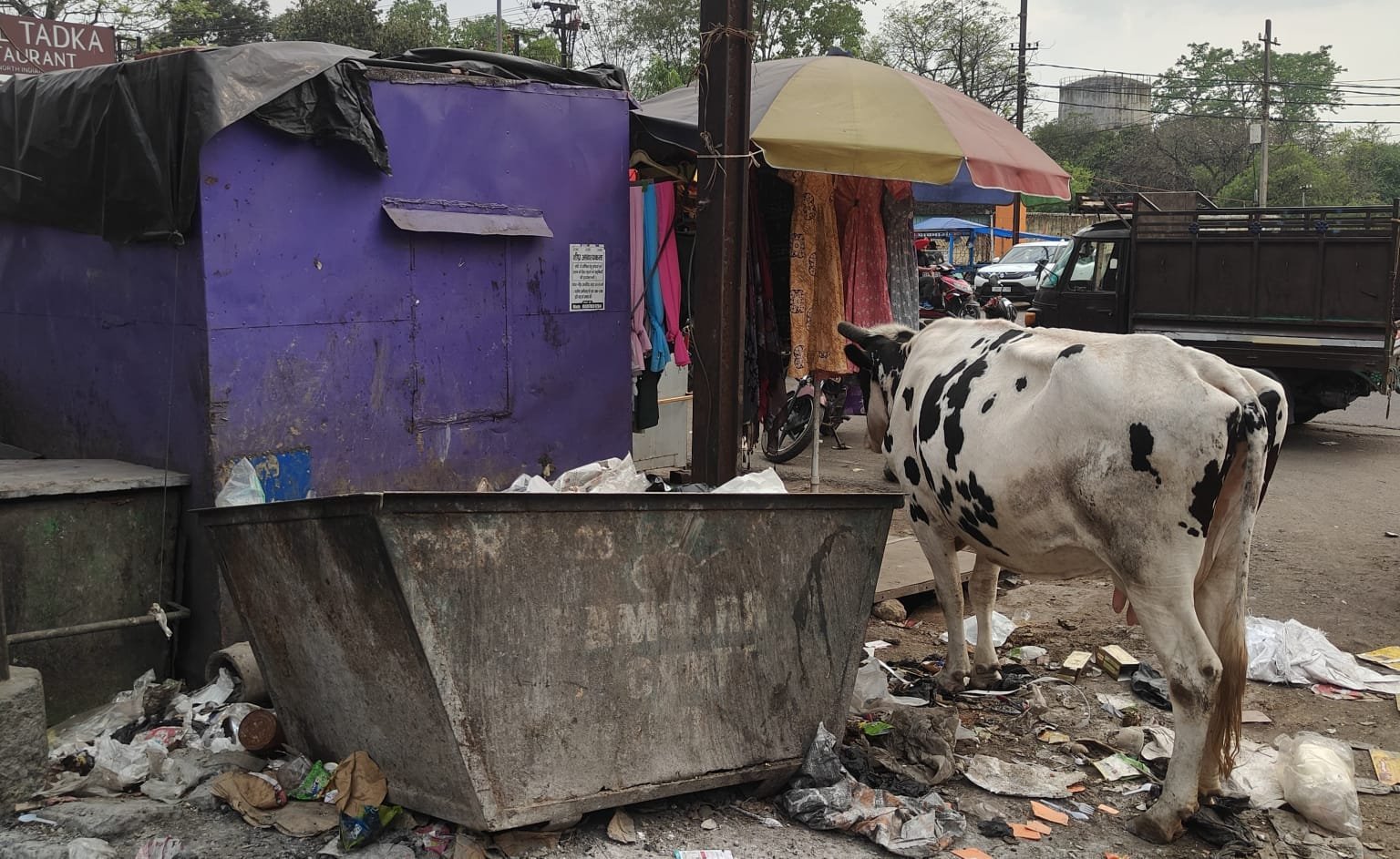 भाजपा नेता की पहल पर मेन रोड में चला स्वच्छता अभियान