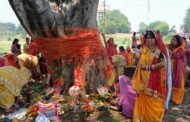 पतरातू क्षेत्र में सुहागिनों ने भक्ति भाव के साथ किया बट सावित्री की पूजा