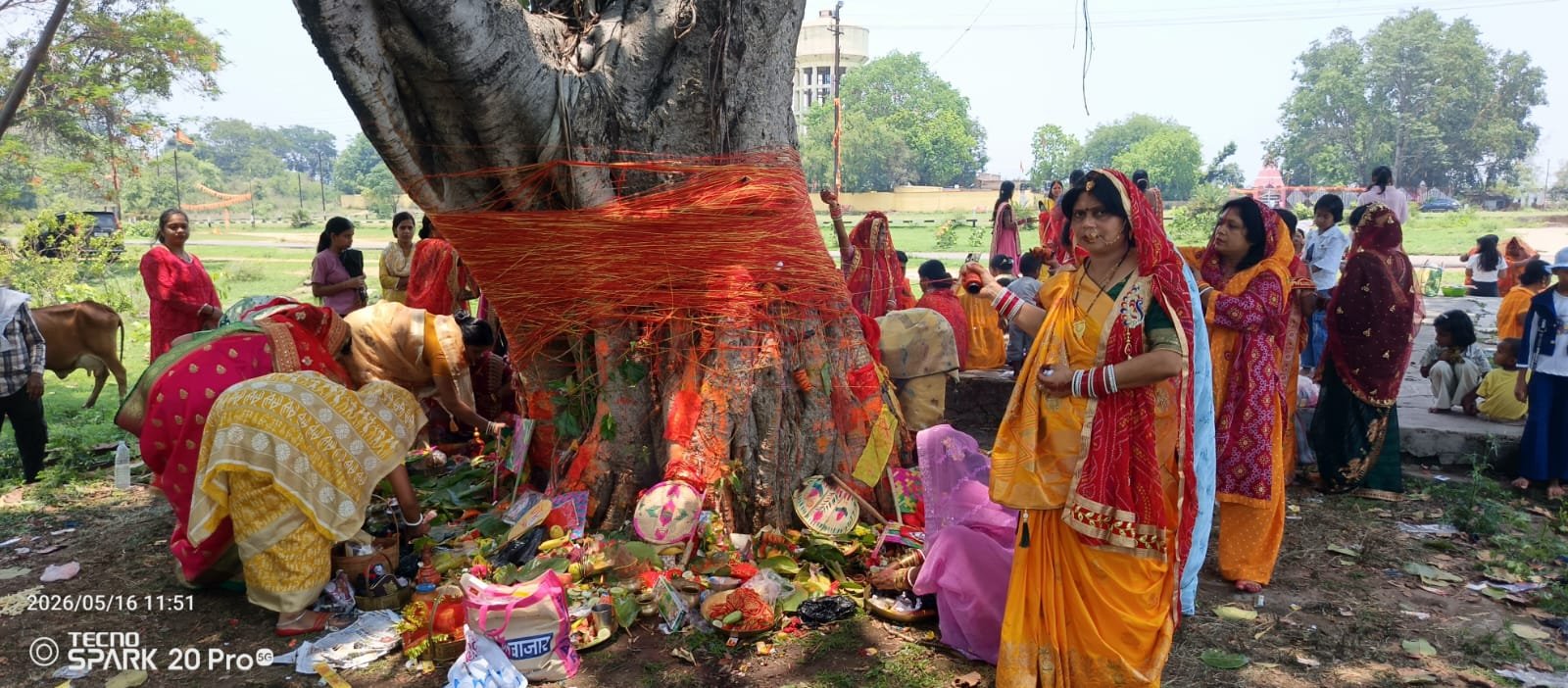 पतरातू क्षेत्र में सुहागिनों ने भक्ति भाव के साथ किया बट सावित्री की पूजा