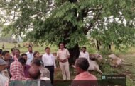 वज्रपात का कहर: मुख्यमंत्री के पैतृक गांव नेमरा में 26 पशुओं की मौत