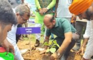 विश्व पर्यावरण दिवस पर दामोदर नदी घाट में हुआ वृहद वृक्षारोपण कार्यक्रम