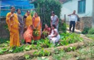 विश्व पर्यावरण दिवस के अवसर पर जिलेभर में लगाए गए लगभग 8000 पौधे