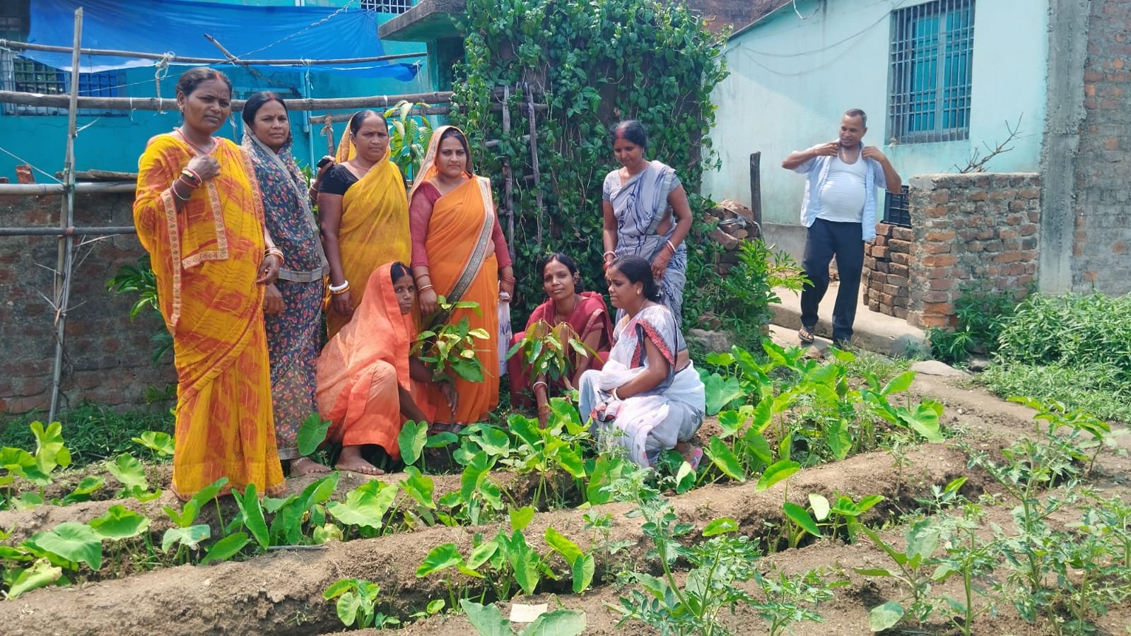 विश्व पर्यावरण दिवस के अवसर पर जिलेभर में लगाए गए लगभग 8000 पौधे