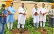 सरस्वती विद्या मंदिर में वृक्षारोपण कर पर्यावरण संरक्षण का दिया संदेश