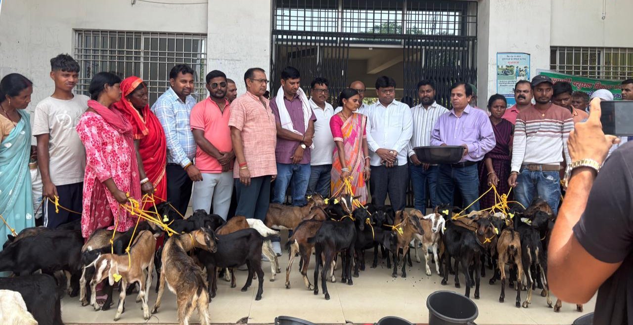 मुख्यमंत्री पशुधन योजना के तहत गोला में 18 लाभुकों के बीच बकरी एवं बतख का वितरण