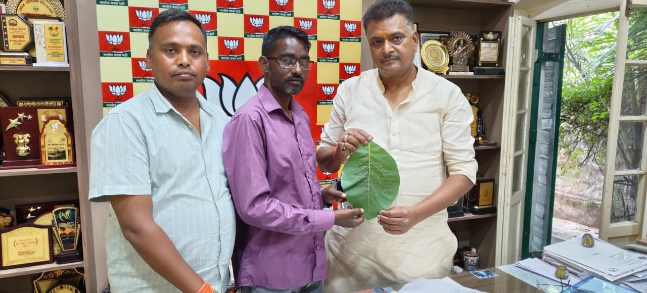 हूल दिवस पर प्रकृति संरक्षण का अनोखा संदेश, सागवान के पत्ते पर आमंत्रण देकर सांसद को दिया गया पारंपरिक न्योता
