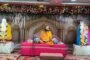 आवारा पशुओं का सड़कों पर विचरण करने से सडक दुर्घटना में हो रहा है इजाफा