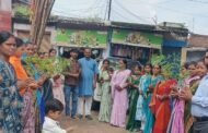 एकल विद्यालय आचार्य अभ्यास वर्ग में कड़ी पत्ता के पौधों का वितरण किया