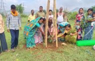 आरएसएस के पर्यावरण संयोजक ने अपने पुत्र के जन्म दिन पर पतरातू क्षेत्र में लगाए पौधे