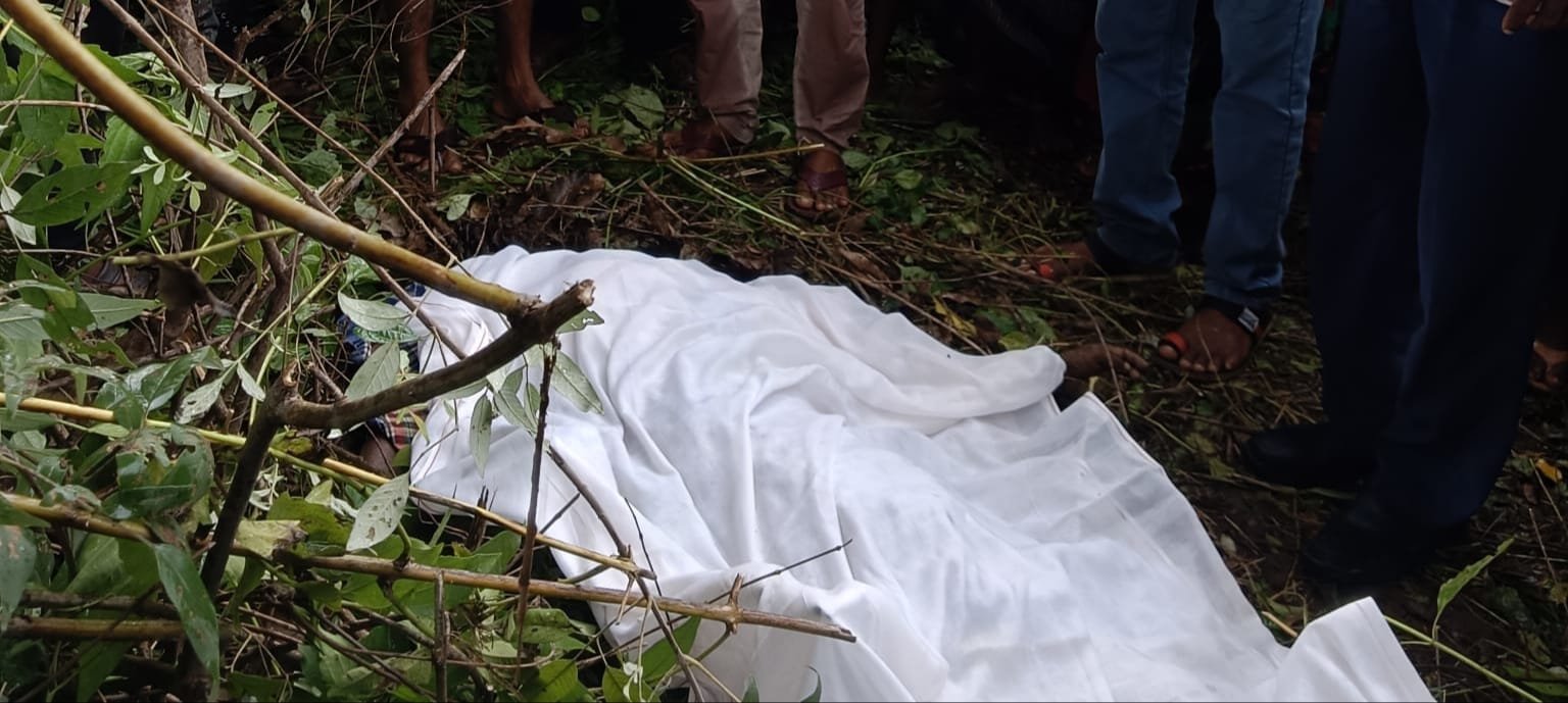 हजारीबाग के बरही क्षेत्र में हाथियों का आतंक,एक की मौत