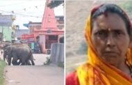 रामगढ़ जिला के गोला और चितरपुर प्रखंड में हाथियों ने मचा रखा है आतंक