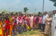 पासवा के 50 लाख पौधारोपण अभियान के तहत लोकनायक जेपी विद्या मंदिर में 500 पौधे लगाए गए : पासवा