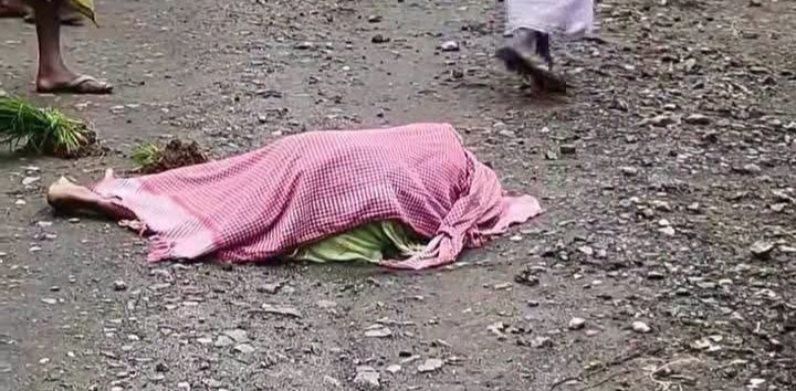 नावाडीह में दिनदहाड़े बुजुर्ग दंपती समेत बहू की हत्या